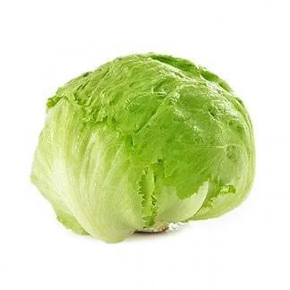 Round Lettuce (Jordan), medium foam tray (2)