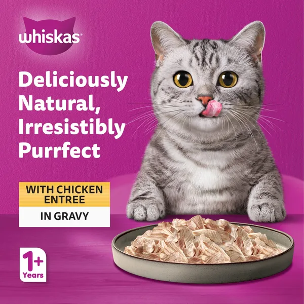Whiskas Purrfectly Chicken Entree Wet Cat Food for Adult Cats 1+ Years 85 g (2)