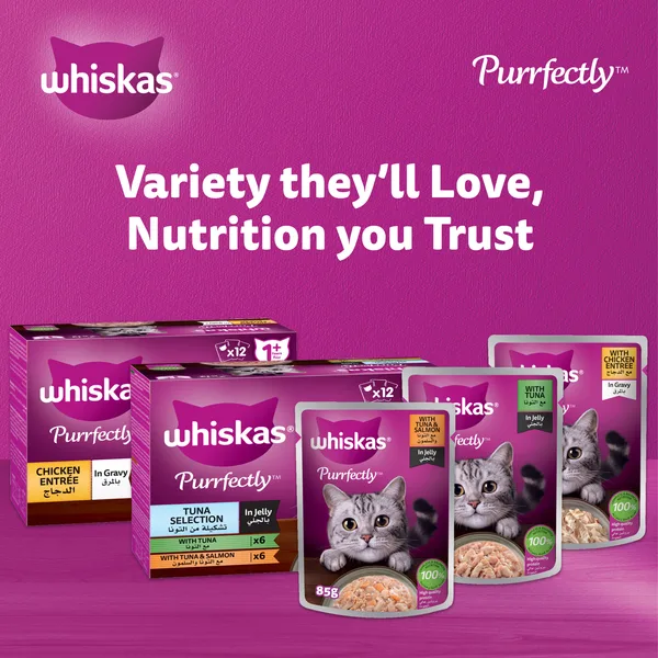 Whiskas Purrfectly Chicken Entree Wet Cat Food for Adult Cats 1+ Years 85 g (6)