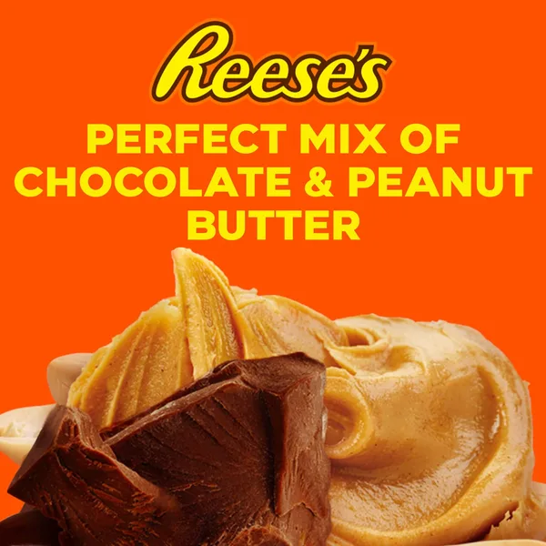 Reese's Chocolate Miniatures Peanut Butter Cups 340 g (3)