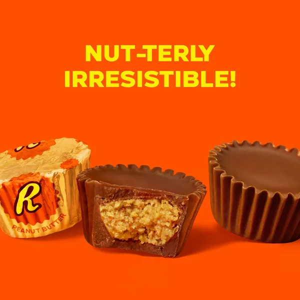 Reese's Chocolate Miniatures Peanut Butter Cups 340 g (4)
