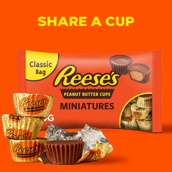 Reese's Chocolate Miniatures Peanut Butter Cups 340 g (6)