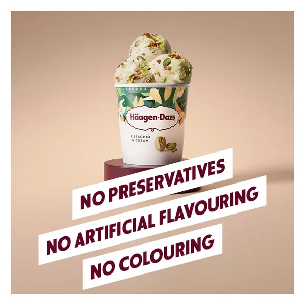 Haagen-Dazs Pistachio & Cream Ice Cream 420 ml (3)