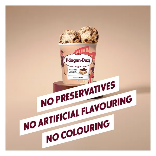 Haagen-Dazs Tiramisu Style Coffee & Mascarpone Ice Cream 420 ml (3)