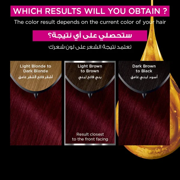 Garnier Olia Permanent Hair Color 6.0 Light Brown 1 pkt (6)