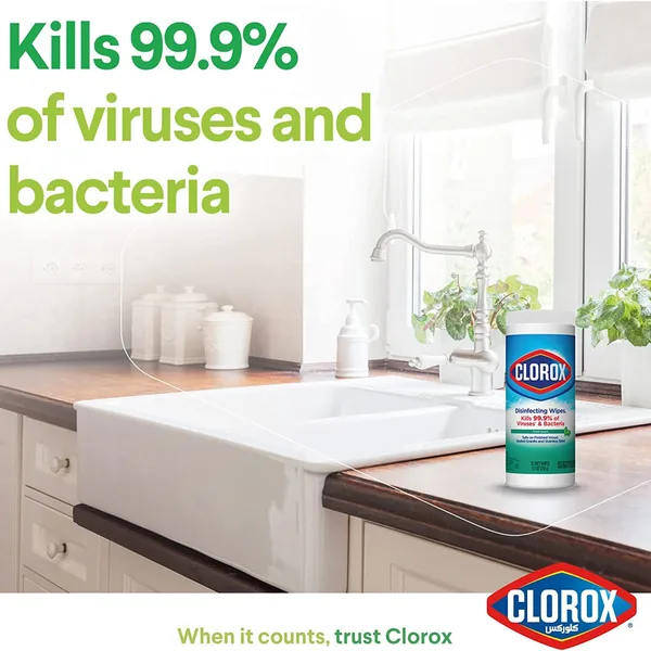Clorox Disinfecting Wet Wipes Fresh Scent 35 pcs (2)
