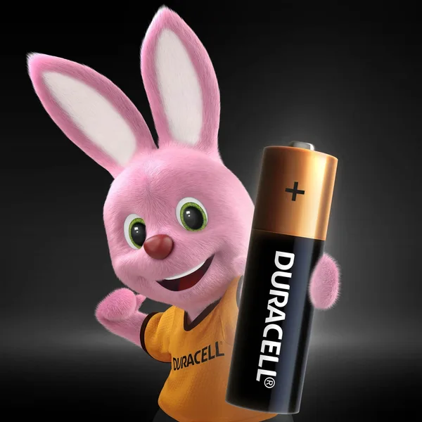 Duracell Type AA Alkaline Batteries, pack of 12 (6)