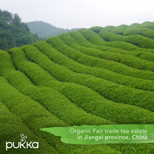 Pukka Organic Herbal Green Tea Supreme Matcha Green 20pcs (7)