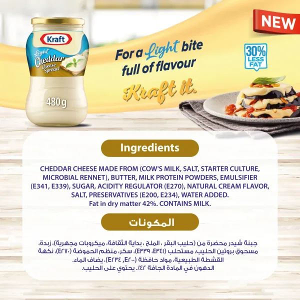 Kraft Light Cheddar Cheese Spread Jar 480 g (2)