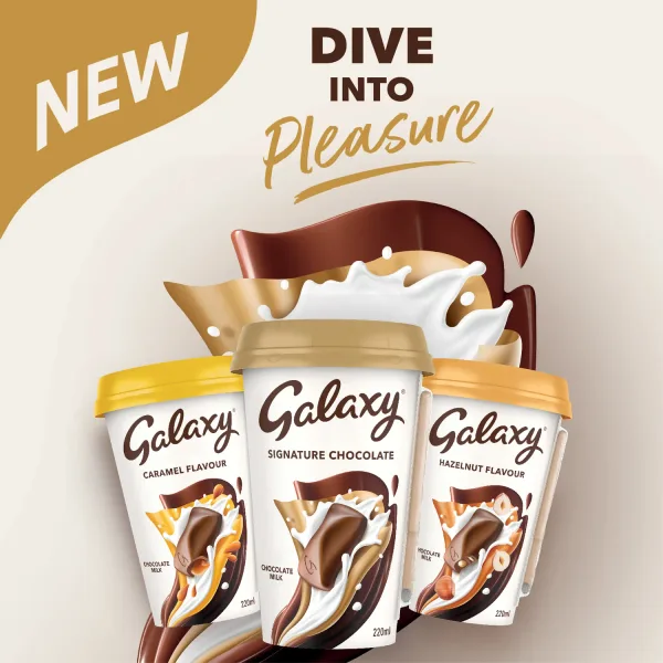 Galaxy Chocolate Milk Drink Hazelnut Flavour 220 ml (5)