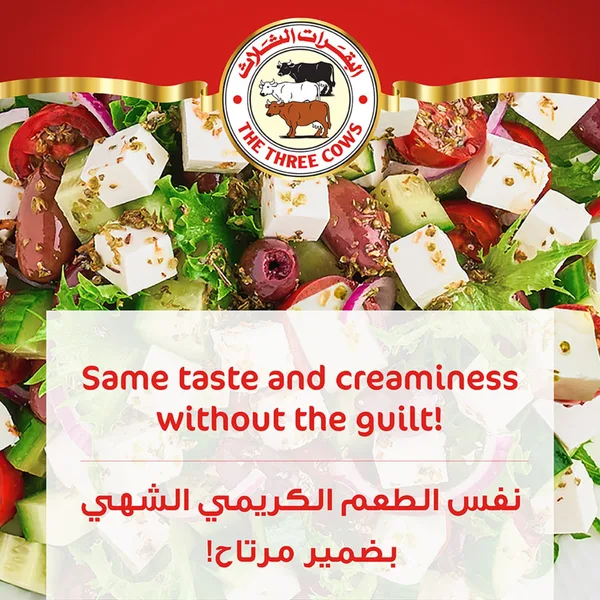 The Three Cows Light White Cheese 500 g (3)