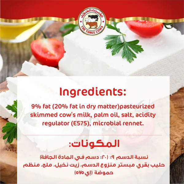 The Three Cows Light White Cheese 500 g (4)