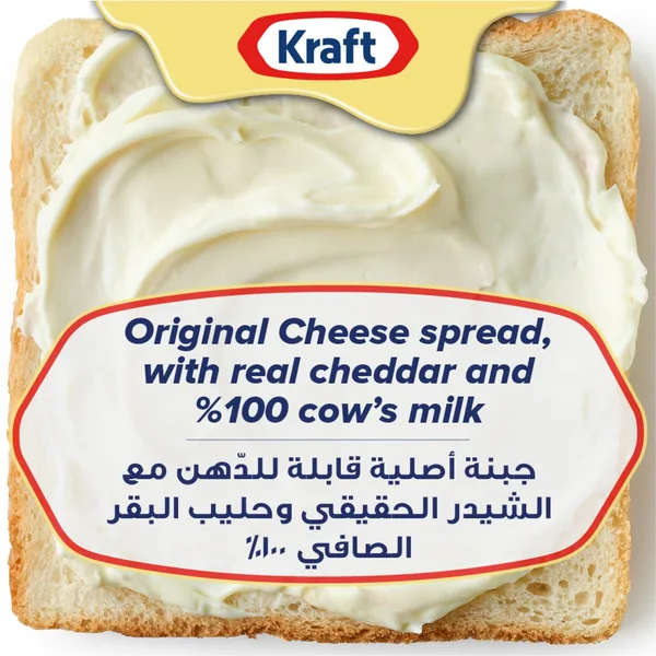 Kraft Cheddar Cheese Spread 230 g (2)