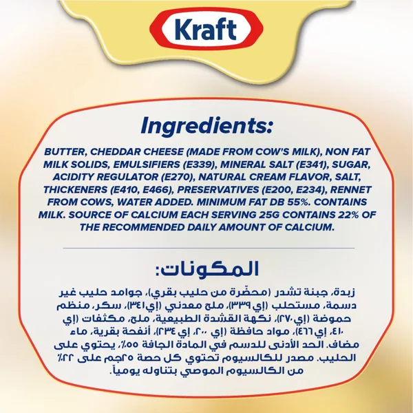 Kraft Cheddar Cheese Spread 480 g (5)