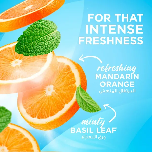 Closeup Cool Fresh Citrus Mint Toothpaste 75 ml (3)