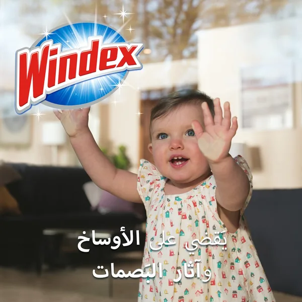 ويندكس منظف وملمع زجاج 750مل لايم مصر (6)