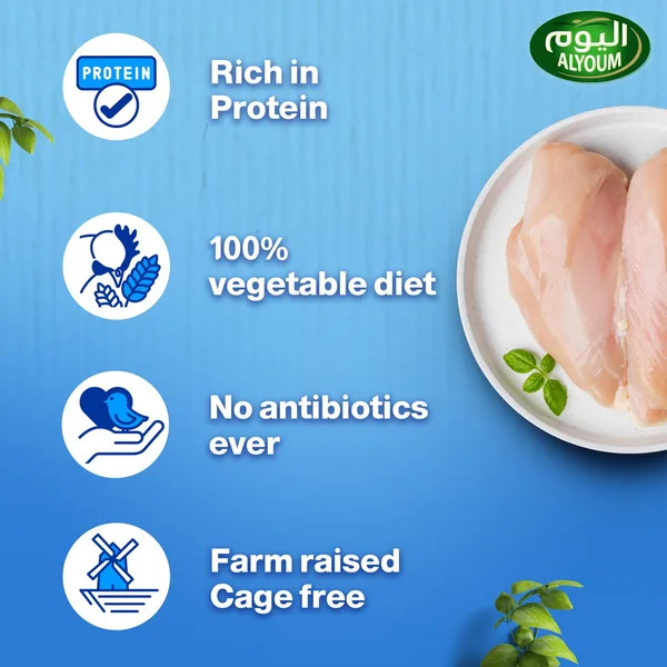 Alyoum Fresh Chicken Breast Fillet 450 g (5)
