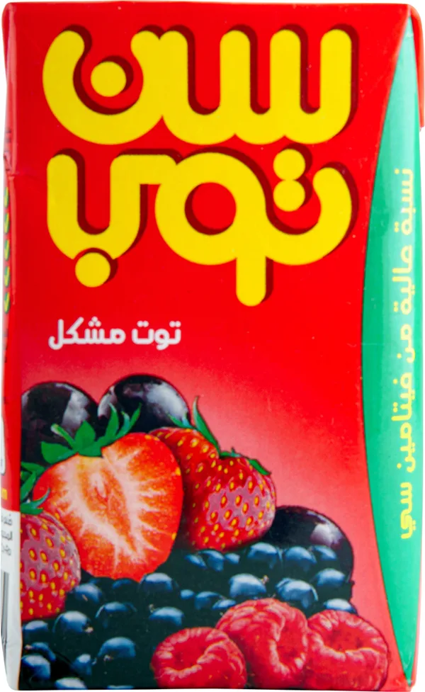 Suntop Berry Mix Juice 250Ml