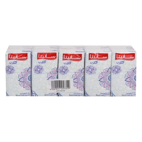 Sanita Club Soft Pocket Tissues 3ply 10 x 10 Sheets (2)