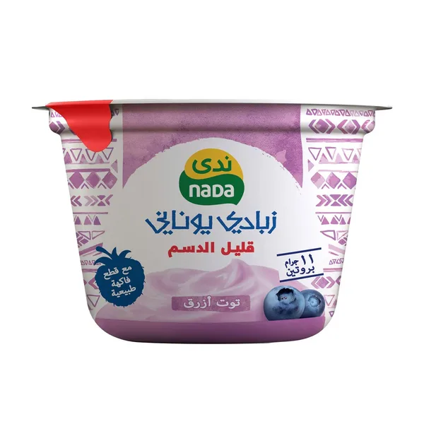 Nada Greek Yoghurt Blueberry Low Fat 160 g (2)