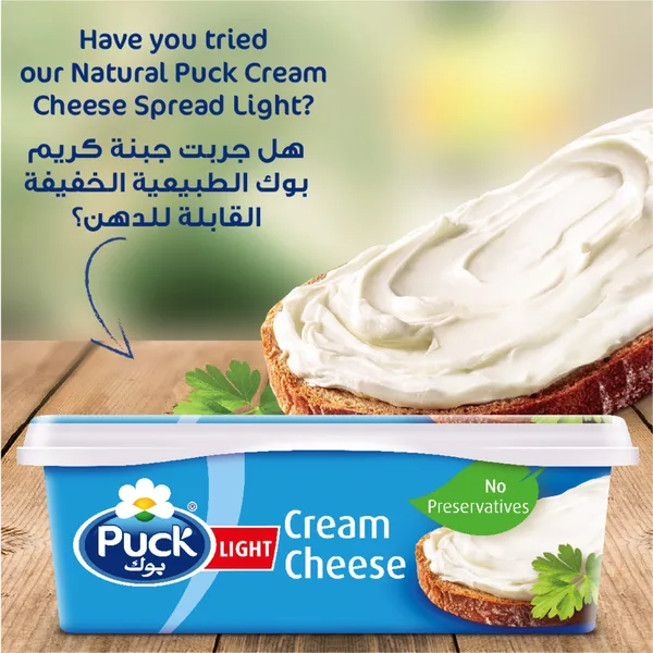 Puck Cream Cheese Low Fat Spread 500 g (7)