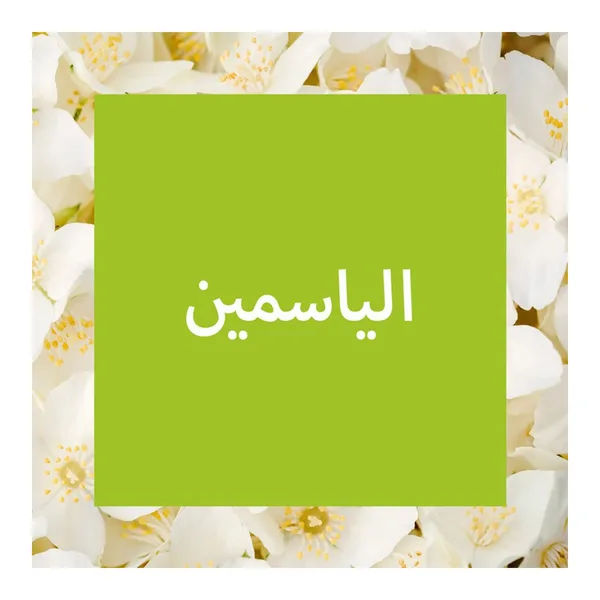 Glade Jasmine Air Freshener 300 ml (4)