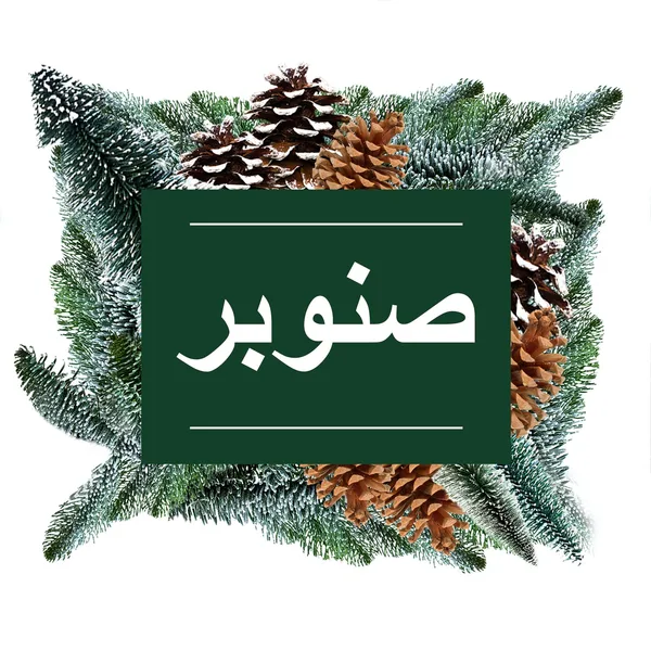 مستر مصل منظف متعدد الاغراض صنوبر 1لتر (6)