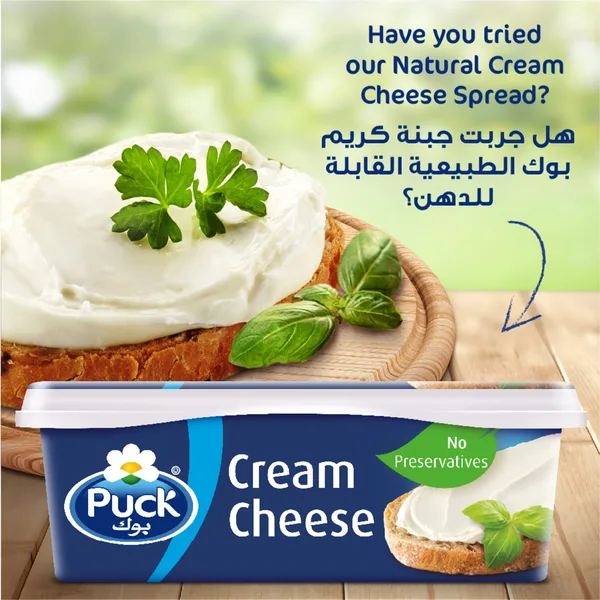 Puck Processed Cream Cheese Spread 2 x 910 g (7)