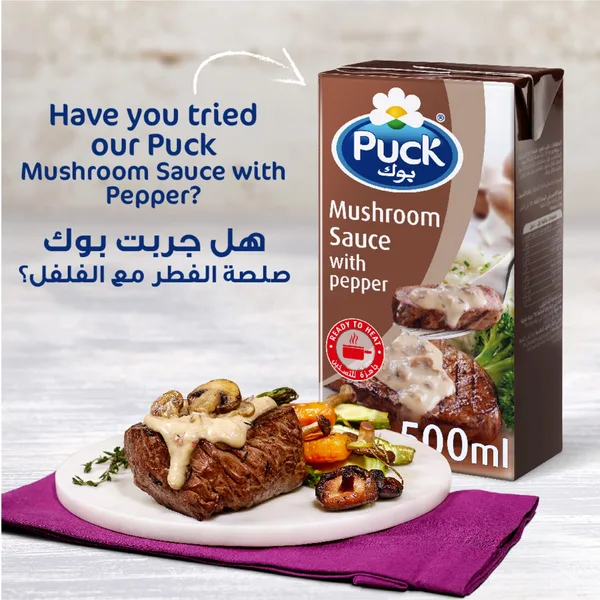 Puck Tomato Sauce with Cream 2 x 500 ml (9)
