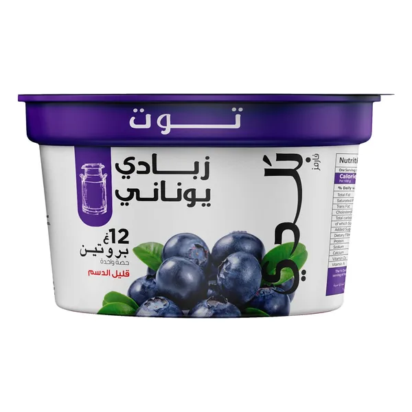 بلدي روب يوناني قليل الدسم بالتوت البري 180جم (2)
