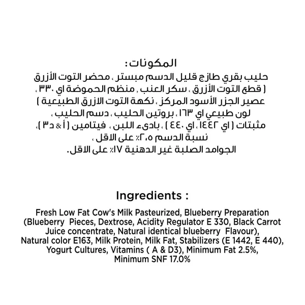 بلدي روب يوناني قليل الدسم بالتوت البري 180جم (5)