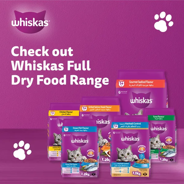 Whiskas Chicken Flavour Dry Cat Food for Adult Cats 1+ Years 480 g (6)