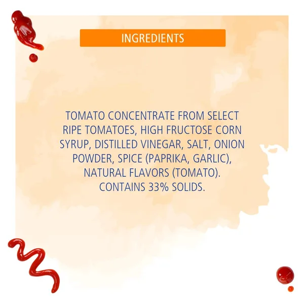 American Garden U.S Ketchup 1.02 kg (5)