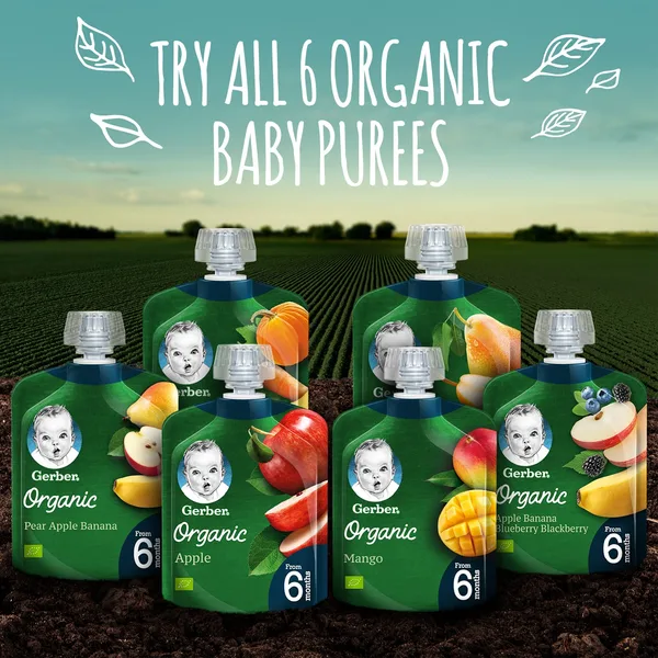 Gerber Organic Mango Baby Food From 6 Months 90 g (10)