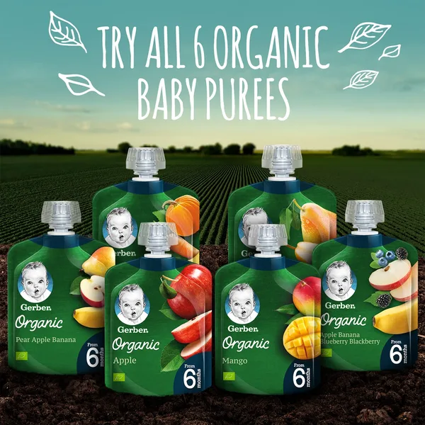 Gerber Organic Pumpkin Banana & Carrot Baby Food From 6 Months 90 g (10)