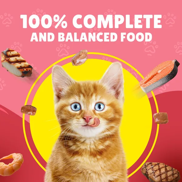 Purina Friskies Junior Chicken In Gravy Wet Cat Food Pouch 85 g (4)