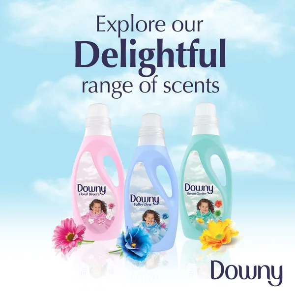 Downy Regular Fabric Softener Floral Breeze 2 Litre (6)