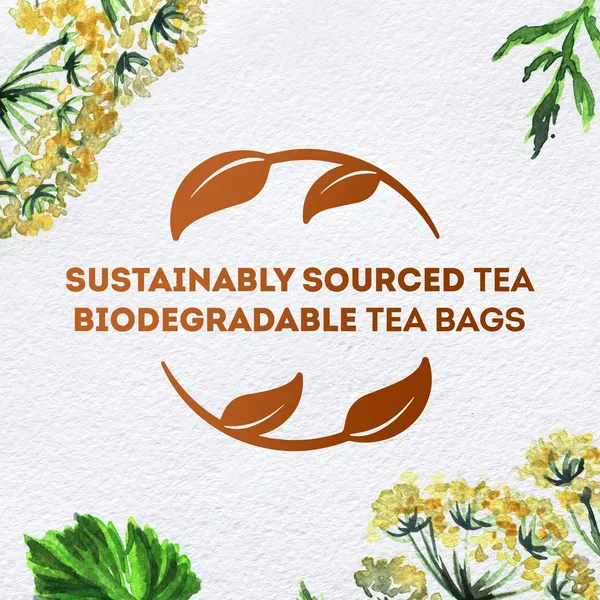 Lipton Anise Herbal Infusion Tea 20 Teabags (4)