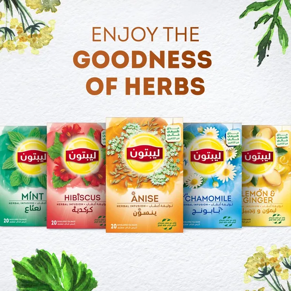 Lipton Anise Herbal Infusion Tea 20 Teabags (6)