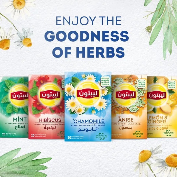 Lipton Chamomile Herbal Infusion Tea 20 Teabags (6)