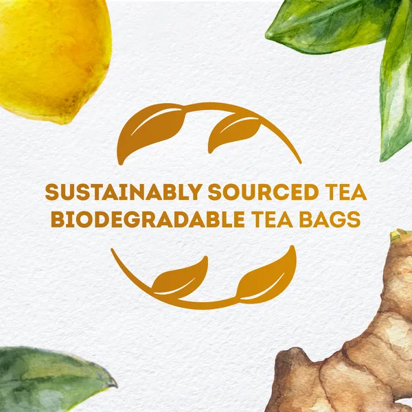 Lipton Lemon & Ginger Herbal Infusion Tea 20 Teabags (4)