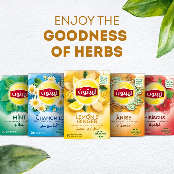 Lipton Lemon & Ginger Herbal Infusion Tea 20 Teabags (6)