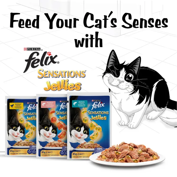 Purina Felix Sensations Jellies With Tuna And Spinach Flavors Catfood 85 g (5)