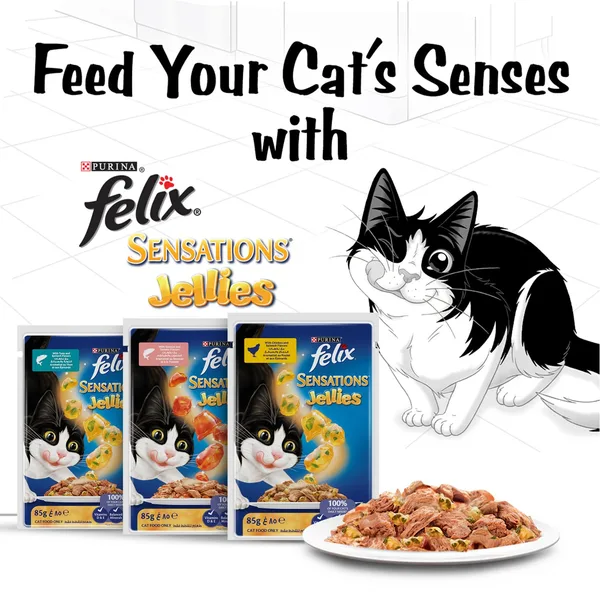 Purina Felix Sensations Jellies with Chicken & Spinach Flavors Wet Cat Food 85 g (4)