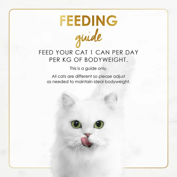 Purina Fancy Feast Gravy Chicken Feast in Grilled Chicken Flavour in Gravy Gourmet Cat Food 85 g (7)