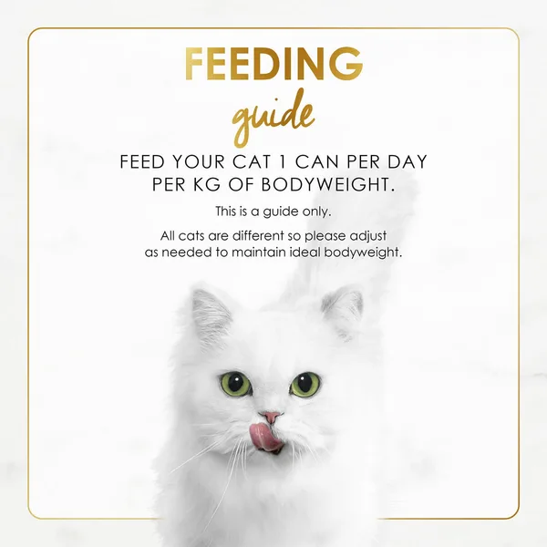 Purina Fancy Feast Grilled Salmon Feast In Gravy Cat Food 85 g (6)
