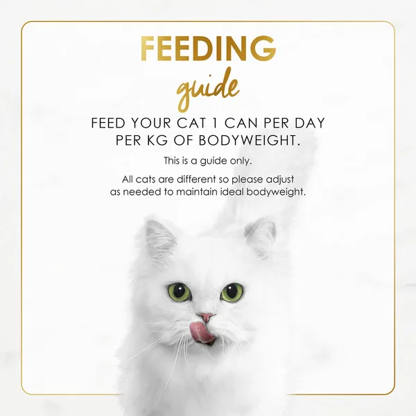 Purina Fancy Feast Grilled Liver & Chicken Feast in Gravy Gourmet Cat Food 85 g (8)