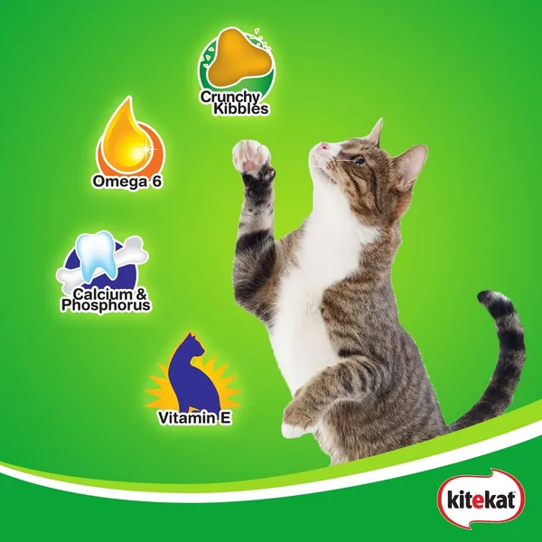 Kitekat Tuna Dry Cat Food 1.4 kg (3)
