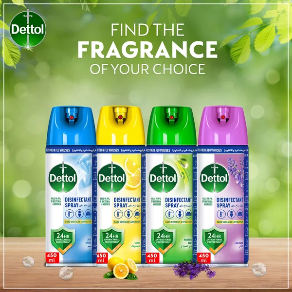 Dettol Morning Dew Anti-Bacterial All in One Disinfectant Spray 450 ml (6)